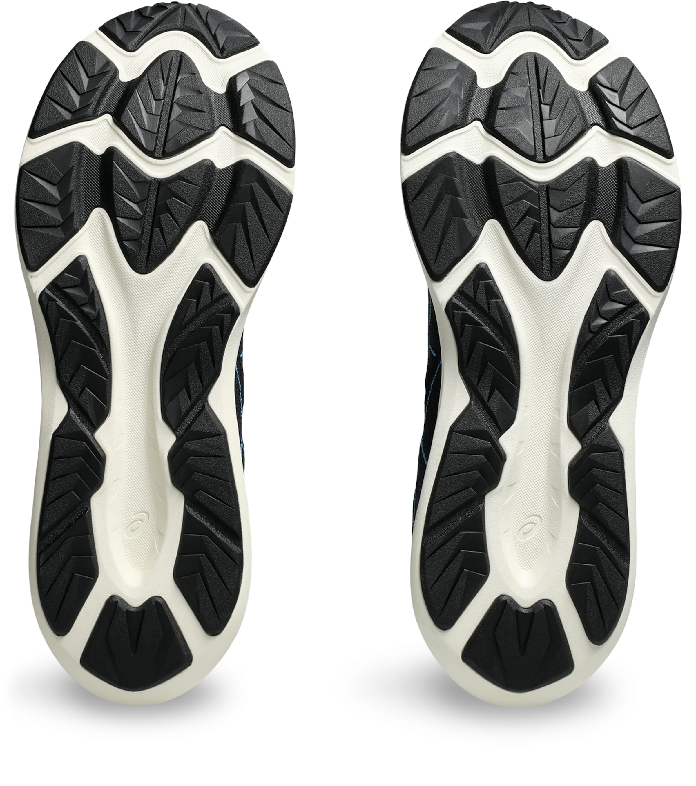 ASICS Running Shoes in Blue