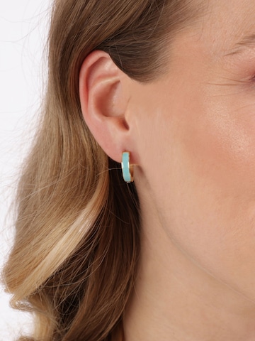 Boucles d'oreilles Lucardi en or : devant