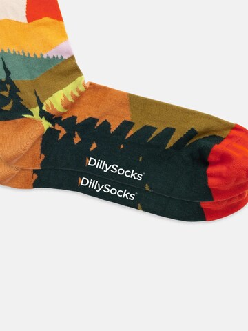 DillySocks Socks 'Abstract Nature' in Mixed colors