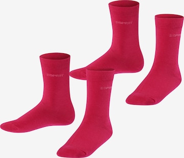 ESPRIT Socken 'Foot Logo 2-Pack' in Rot: Vorderseite