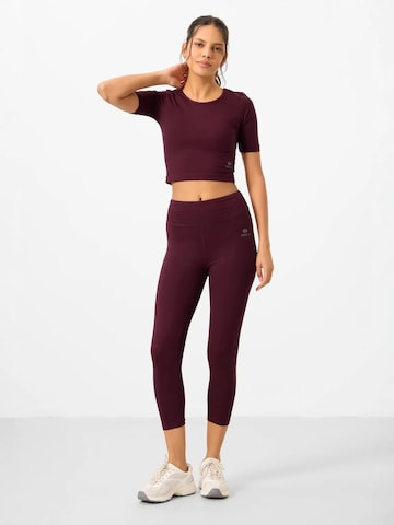 Survêtements Tommy Life en rouge