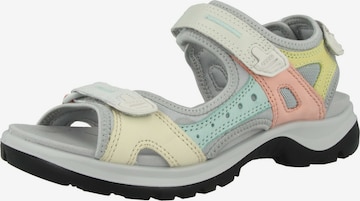 Sandales de randonnée ' Offroad ' ECCO en mélange de couleurs : devant