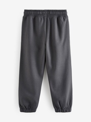Loosefit Pantaloni di Next in grigio