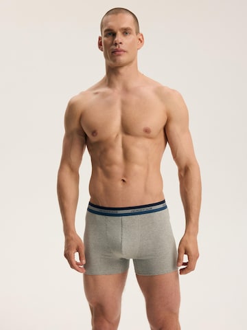 Boxer 'FAR' di Henderson in colori misti