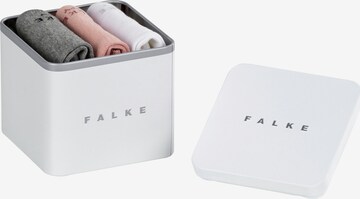 FALKE Sokken in Gemengde kleuren