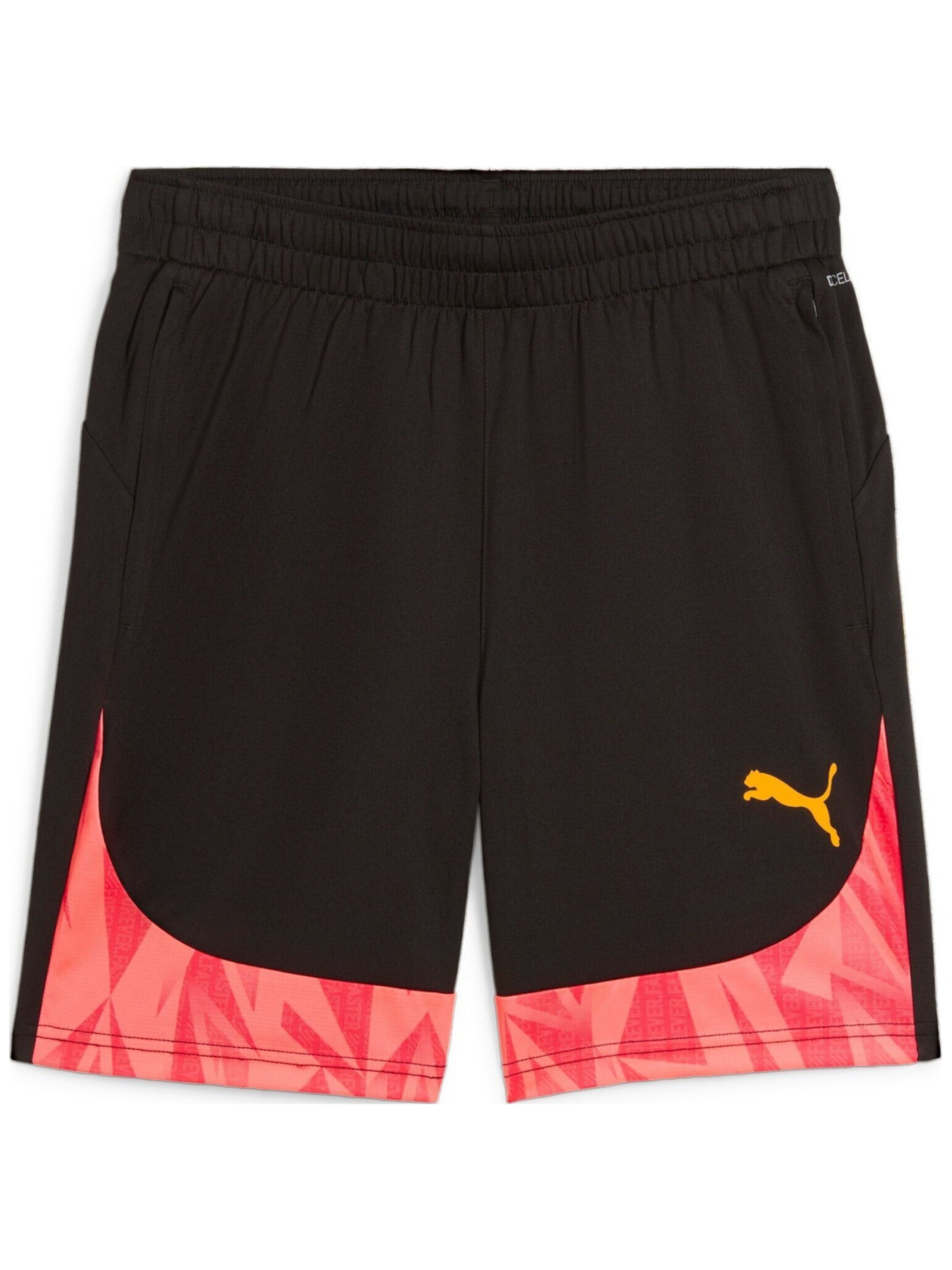 PUMA Regular Sports trousers 'Puma Individualfinal Ff. Shorts' in Black: front