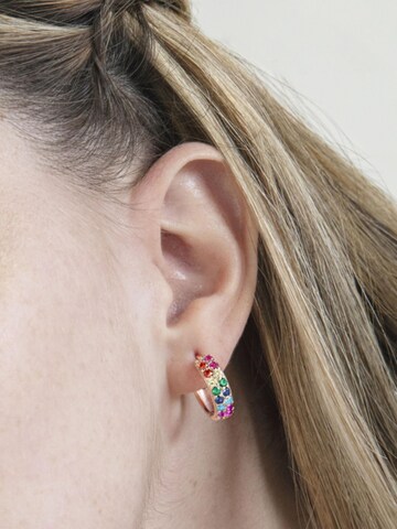 Luxenter Earrings 'Imewa' in Mixed colours