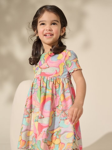 Next Dress in Mixed colours