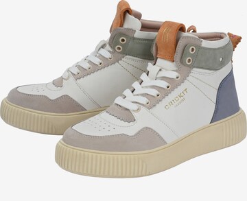 Crickit High-Top Sneakers in Mixed colors