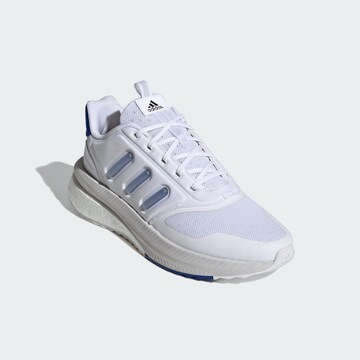 Baskets basses ADIDAS SPORTSWEAR en blanc