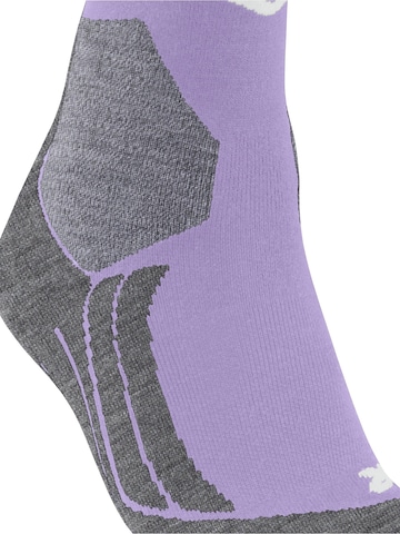 FALKE Sportsocken 'SK2 Intermediate'‌‌‌‌‌‌‌ in Lila