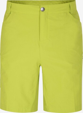 DARE2B Regular Outdoor Pants 'Tuned In II' in Green: front
