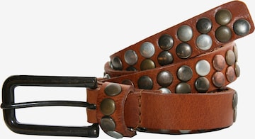 Petrol Industries Belt in Brown: front