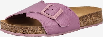 HAFLINGER Pantolette in Pink: Vorderseite