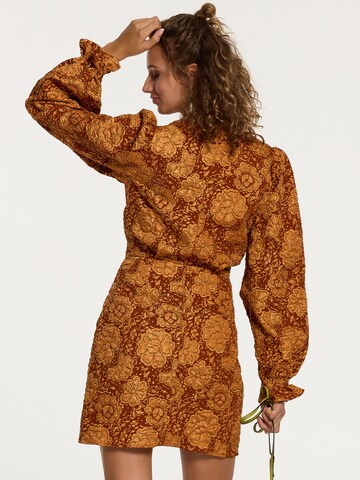 Shiwi Dress in Brown