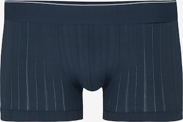 CALIDA Boxershorts 'Pure & Style' in Blau: Vorderseite