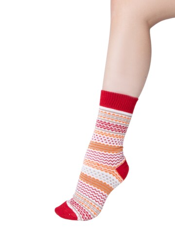 HomeOfSocks Socks 'HOS905' in Red