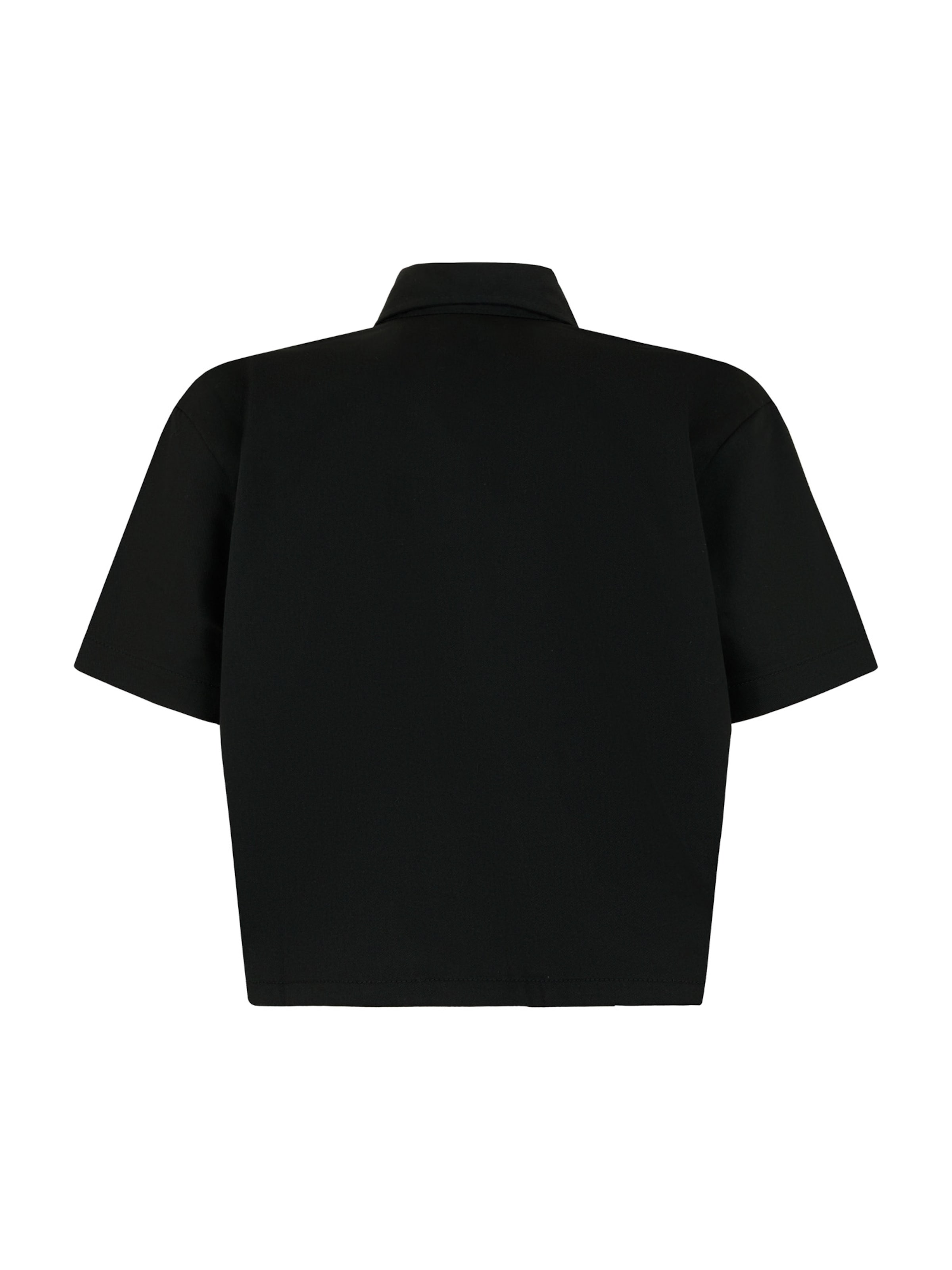 Camicia da donna di DICKIES in nero