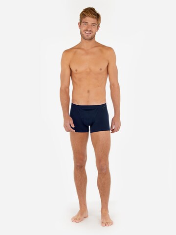 HOM Boxershorts in Blauw