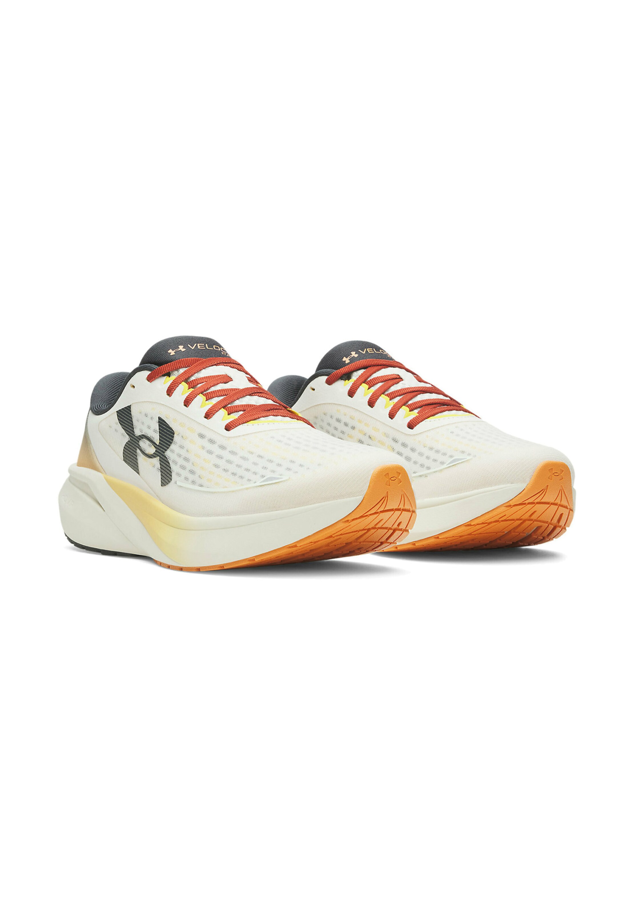 UNDER ARMOUR Springsko 'Velociti Pace' i grå
