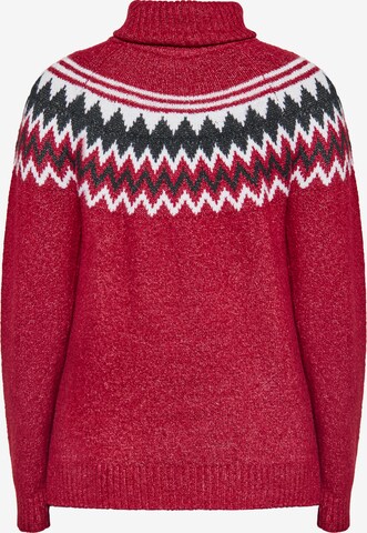 Usha Pullover in Rot