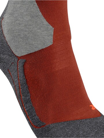 FALKE Athletic Socks 'SK4 Advanced' in Red
