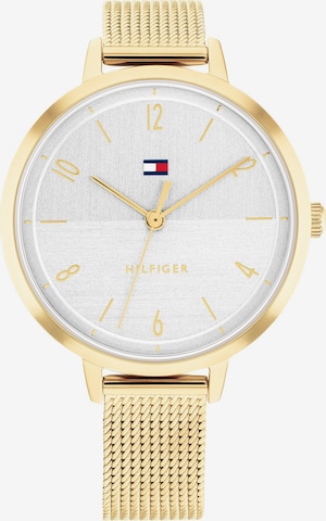 TOMMY HILFIGER Analog watch in Gold