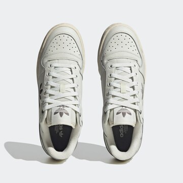 Baskets basses 'Forum Bold' ADIDAS ORIGINALS en blanc