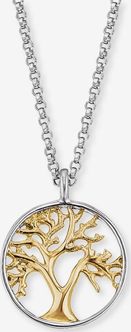 Engelsrufer Necklace in Silver: front