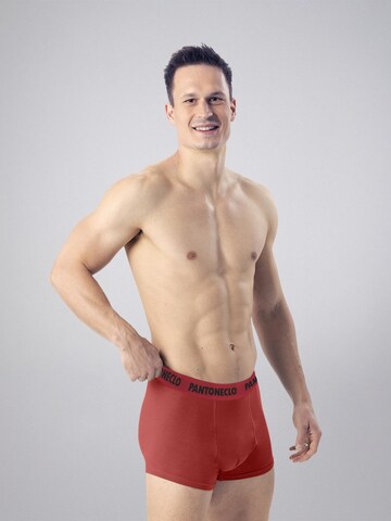 PANTONECLO Boksershorts 'Pantoneclo Men’s Boxer Underwear-10 Pcs Pack' i blandingsfarvet