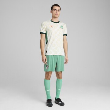 Regular Pantalon de sport PUMA en vert