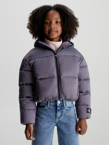 Calvin Klein Jeans Winter Jacket in Purple: front