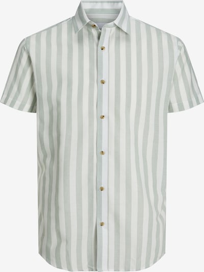 JACK & JONES Button Up Shirt 'JOSHUA' in Pastel green / White, Item view