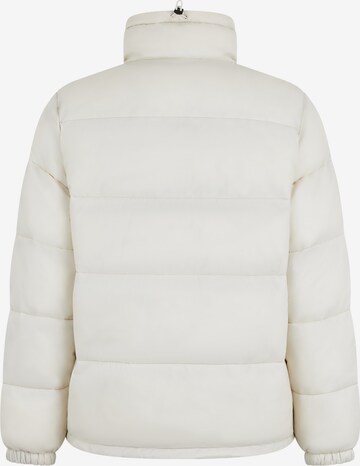 DICKIES Winter Jacket 'WALDENBURG' in White