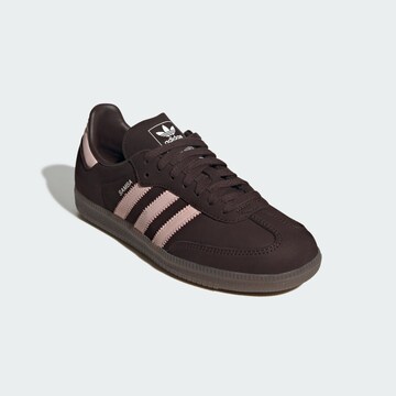 Baskets basses 'Samba' ADIDAS ORIGINALS en marron