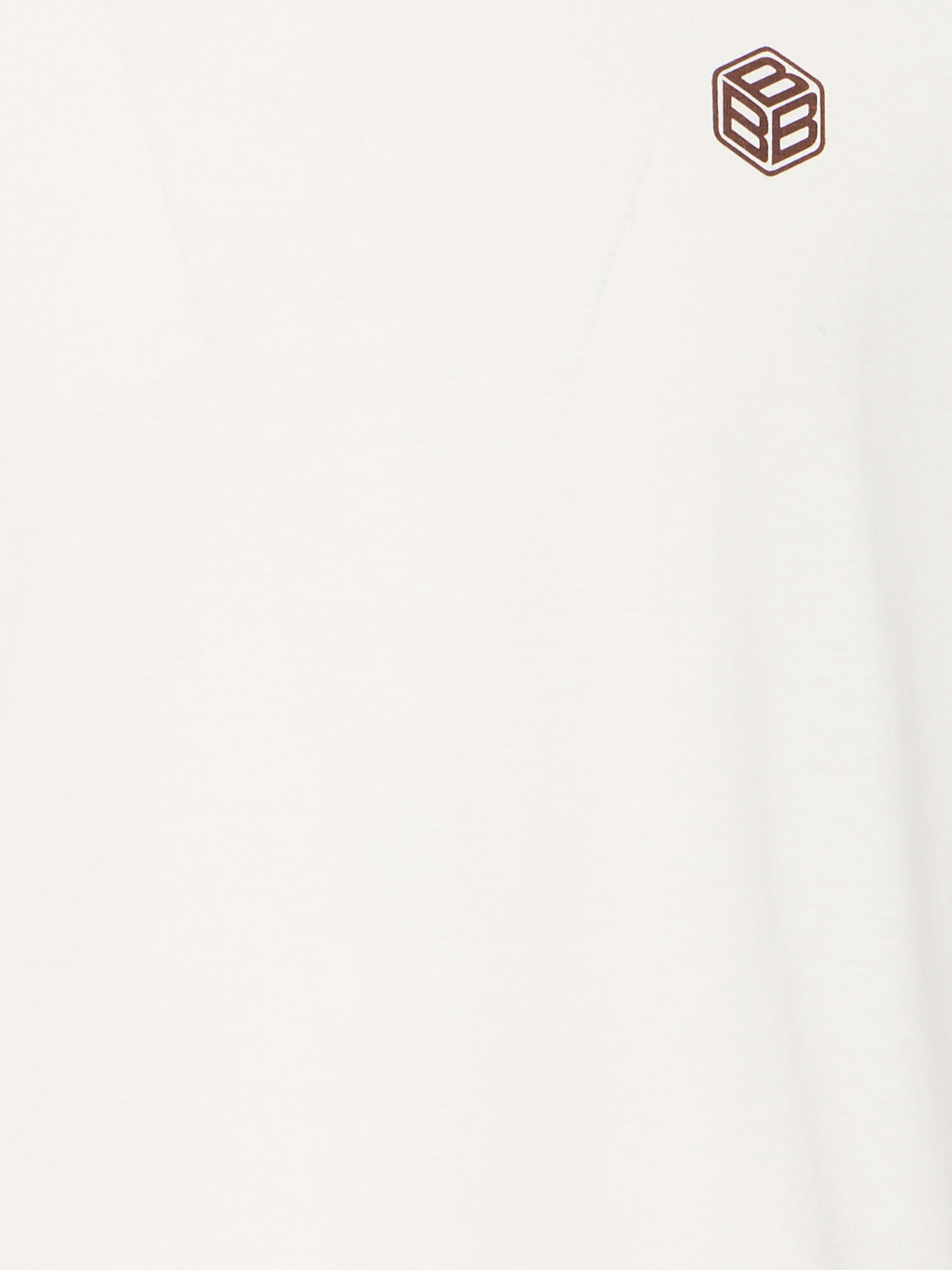 BLEND Tričko 'BHJUKAS' – bílá