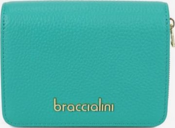 Braccialini Portemonnaie 'Basic' in Grün: Vorderseite