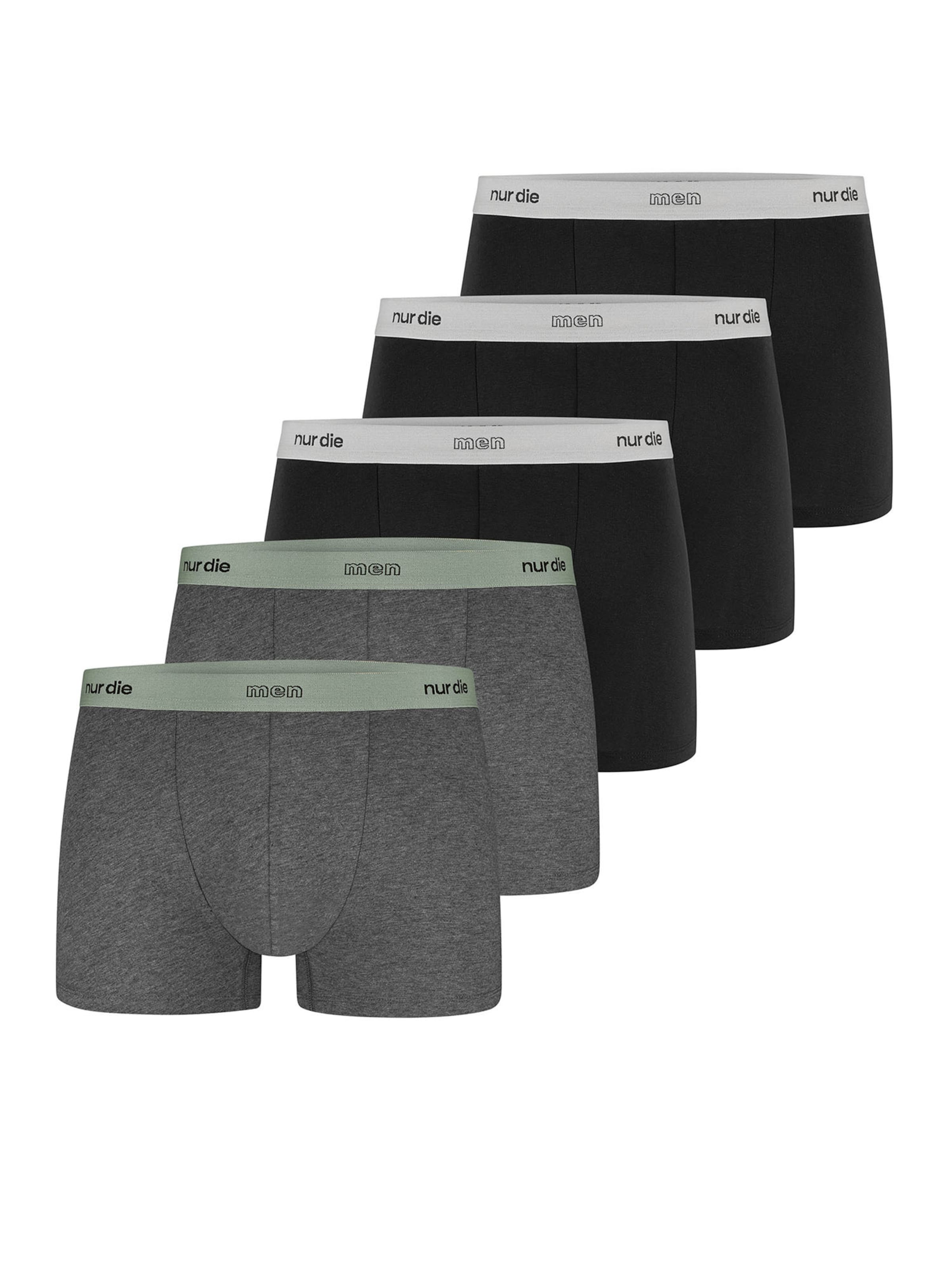 Nur Die Boxer shorts ' Organic Cotton ' in Grey: front