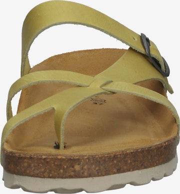 COSMOS COMFORT T-Bar Sandals in Yellow