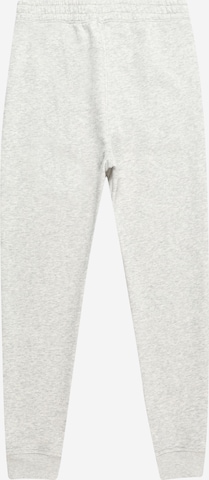 Abercrombie & Fitch Tapered Hose 'ICON ESSENTIALS' in Grau