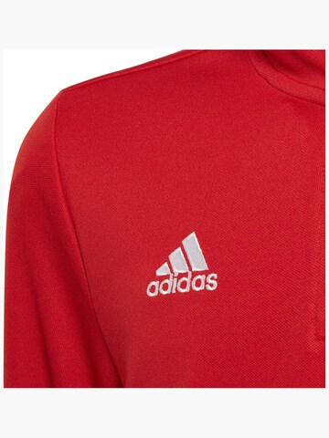 ADIDAS - Blusa 'adidas Jr Ent22 Training Top - 13' en rojo