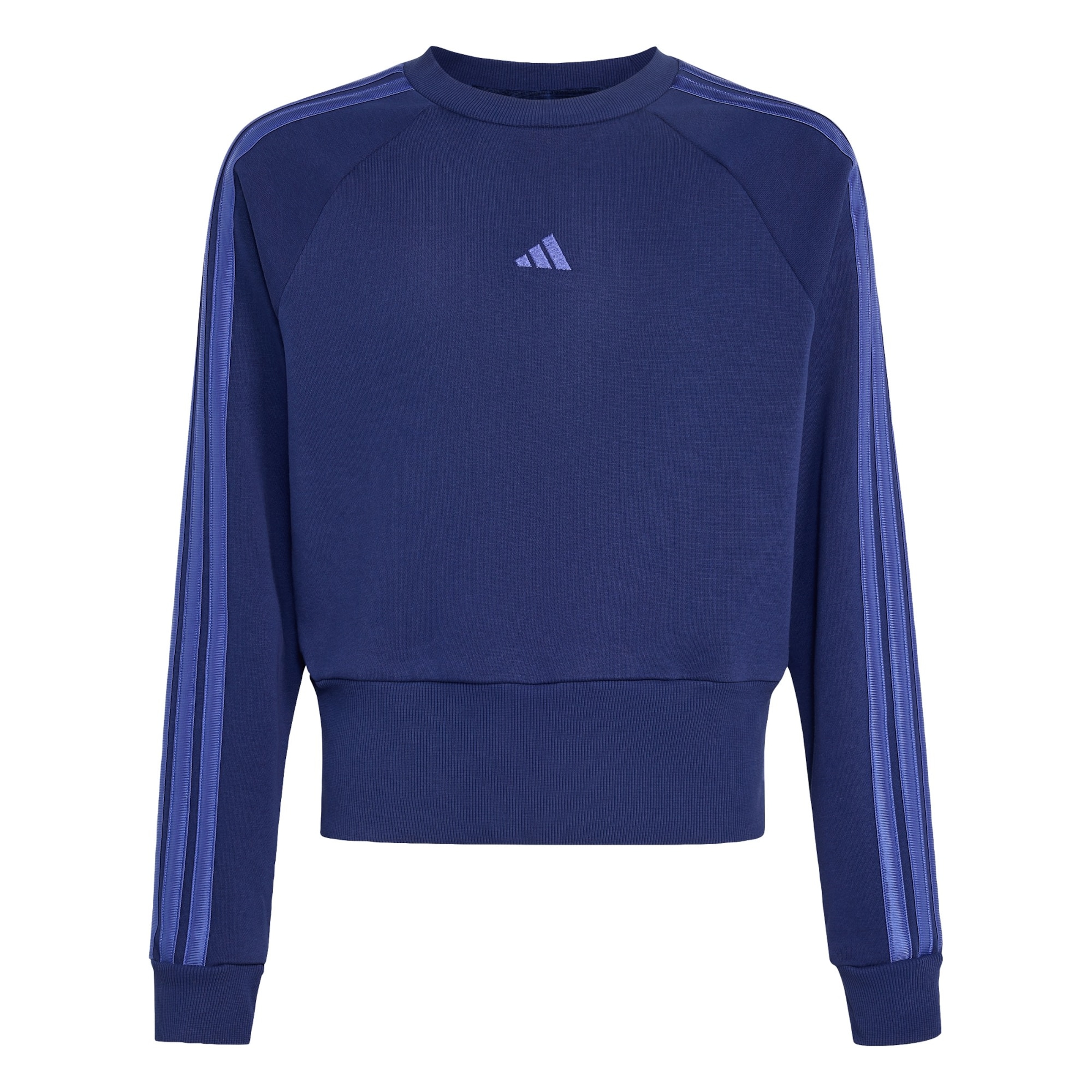 ADIDAS SPORTSWEAR - Sudadera en azul: frente