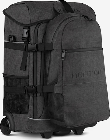 normani Trolley in Grey: front