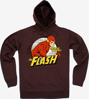 LOGOSHIRT Kapuzenpullover 'DC Comics - Flash, Fastest Man Alive' in Braun: predná strana