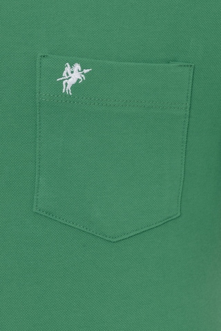 DENIM CULTURE Koszulka ' ALARIC ' w kolorze zielony