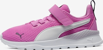 PUMA Sneakers in Purple: front