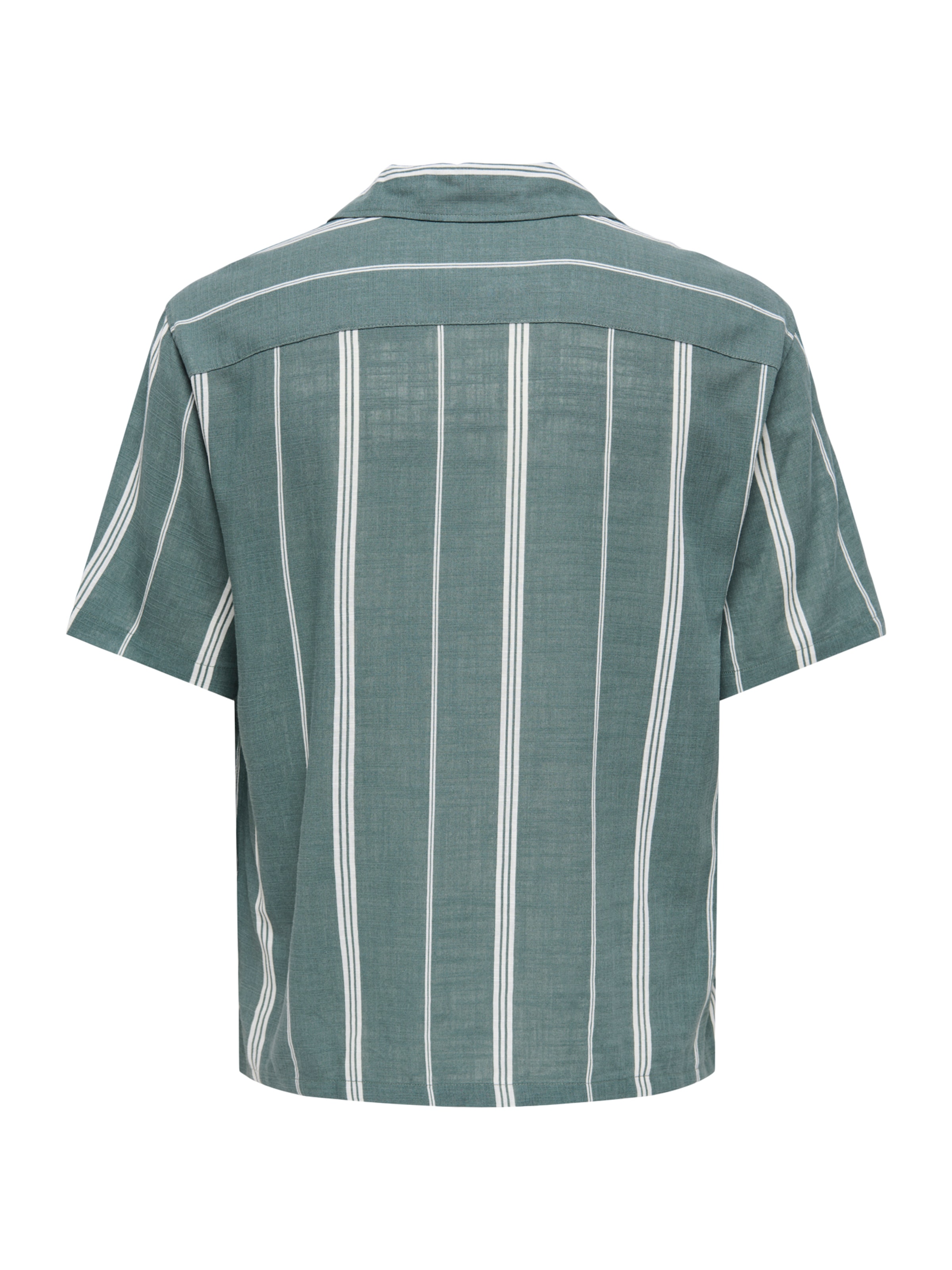 Fit confort Chemise 'ONSSTEPAN' Only & Sons en vert