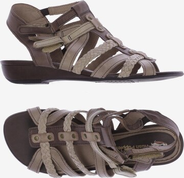 HUSH PUPPIES Sandalen 37 in Grau: predná strana