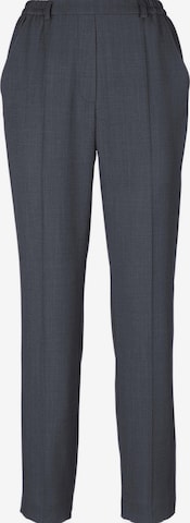 Goldner Regular Pleated Pants in Grey: front
