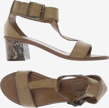 Zign Sandals & High-Heeled Sandals in 40 in Brown: front